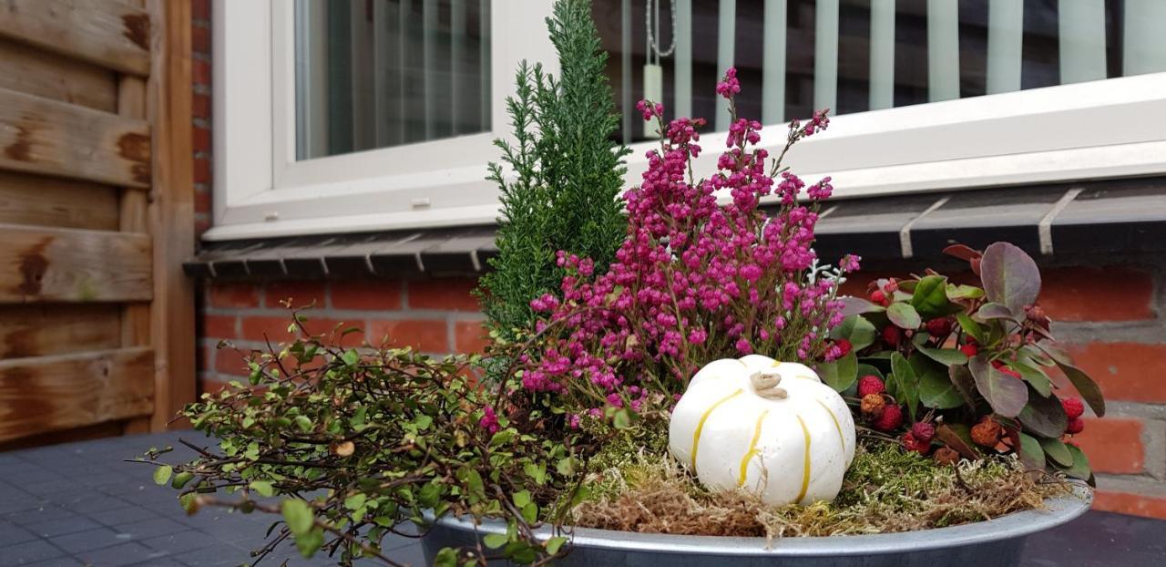 Apartment Campinor NeerNeerpelt エクステリア 写真
